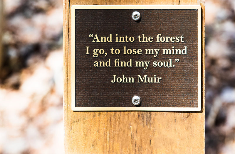 Green Durham Association - Image of Trail Post plaque reading "And into the forest I go, to lose my mind and find my soul." John Muir. Photo by Roy Robinson.