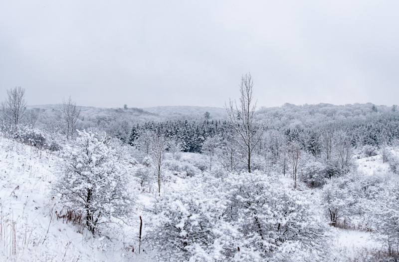 Green Durham Association - Winter Landscape image by Michael Nelson.