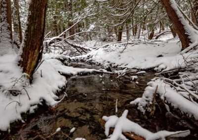 Green Durham Association - Image of winter stream. Photo by Charlie Porter.